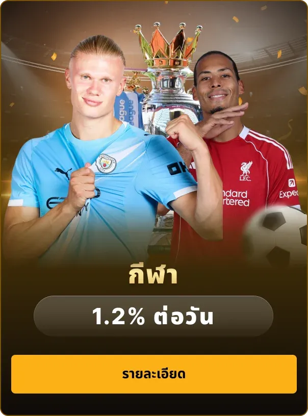 chokbet-pro6_604_816